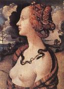 Piero di Cosimo Portrait of Simonetta vespucci oil on canvas